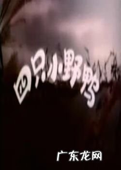 动画片大全集大全