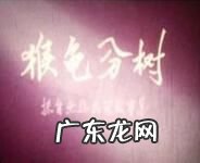 动画片大全集大全