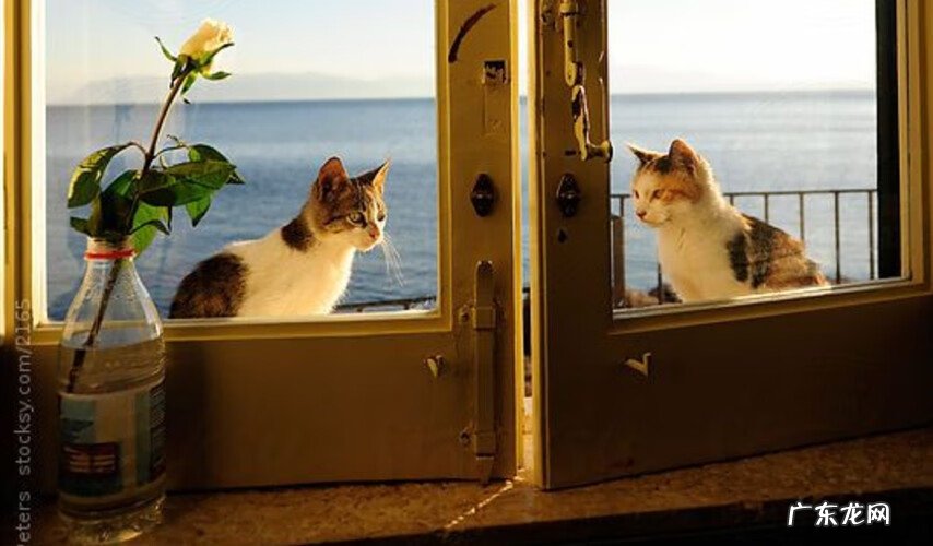 风水桃花局 桃花水风水局