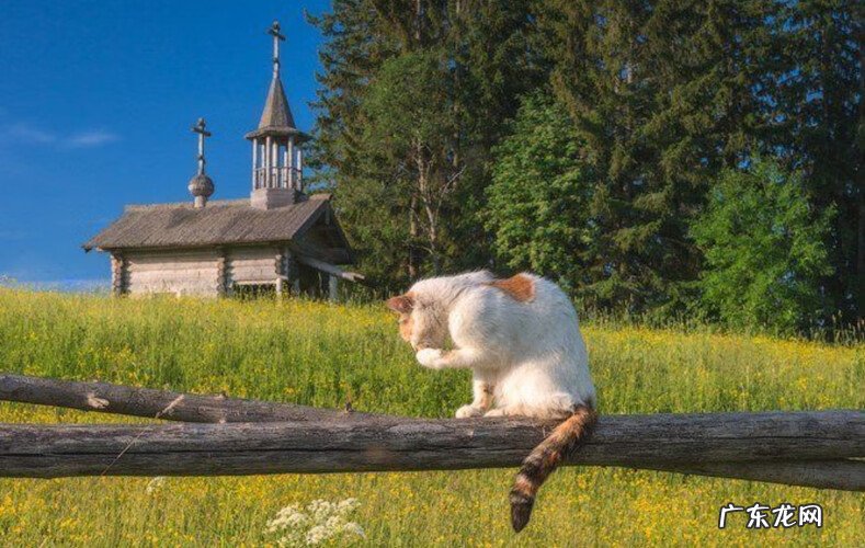 风水桃花局 桃花水风水局
