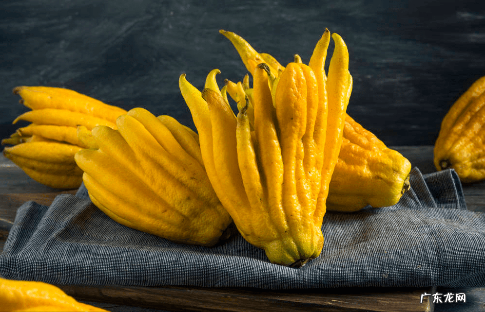 正门对厕所门风水化解 正门前栽什么树风水好