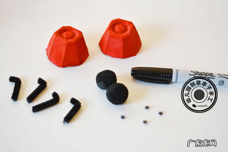 黑色的小瓢虫 小瓢虫