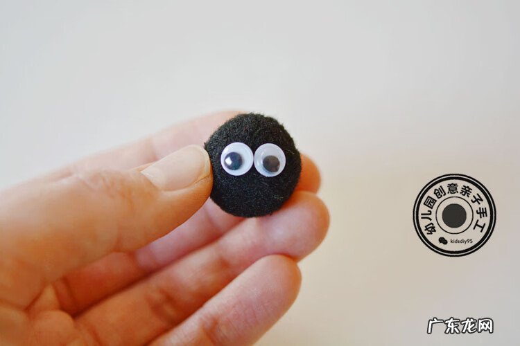 黑色的小瓢虫 小瓢虫