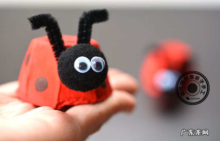 黑色的小瓢虫 小瓢虫