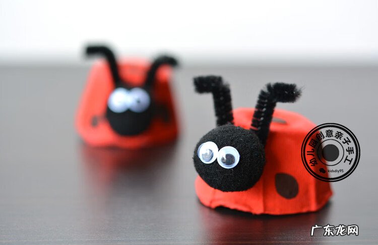 黑色的小瓢虫 小瓢虫