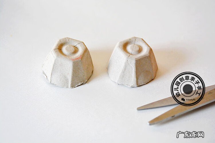 黑色的小瓢虫 小瓢虫