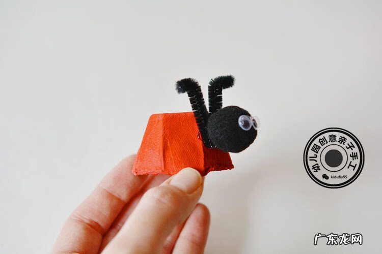 黑色的小瓢虫 小瓢虫