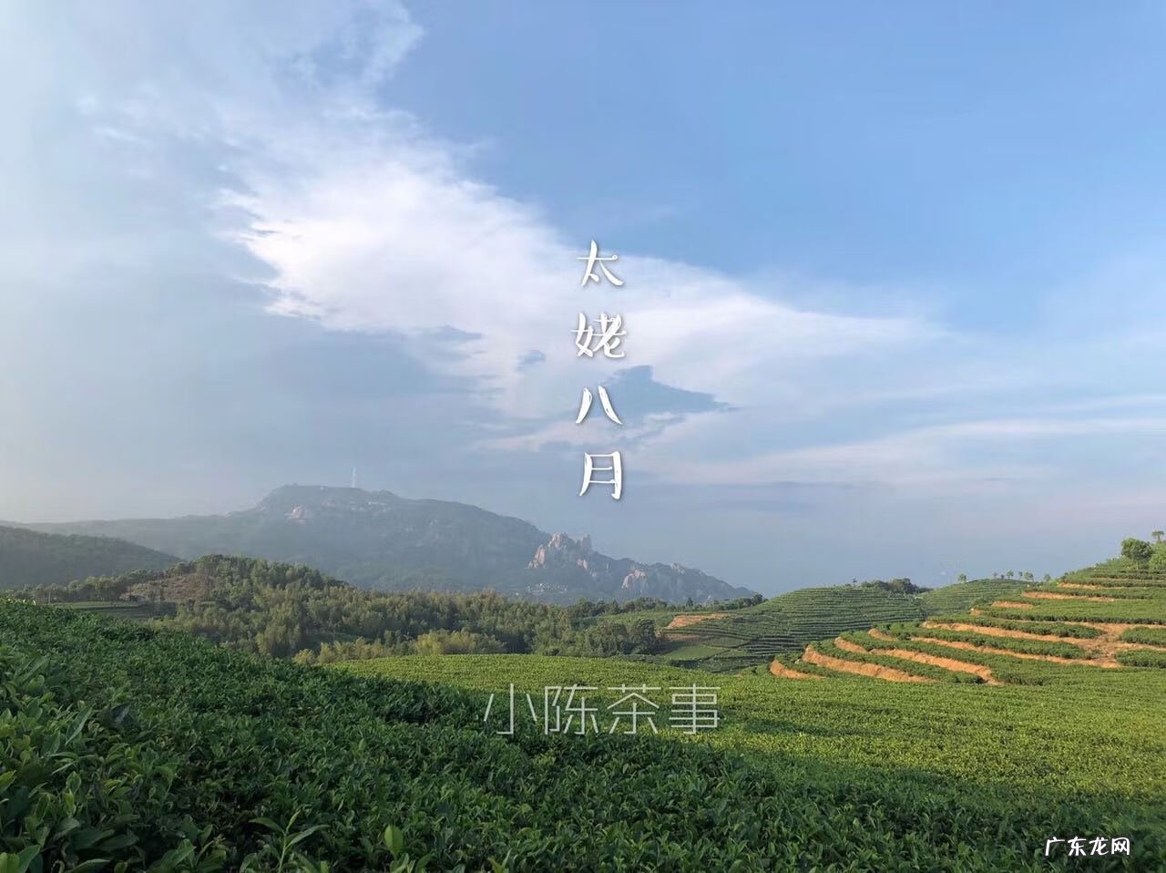 身上长白毛很长一根风水 身上长细细的白毛是什么原因