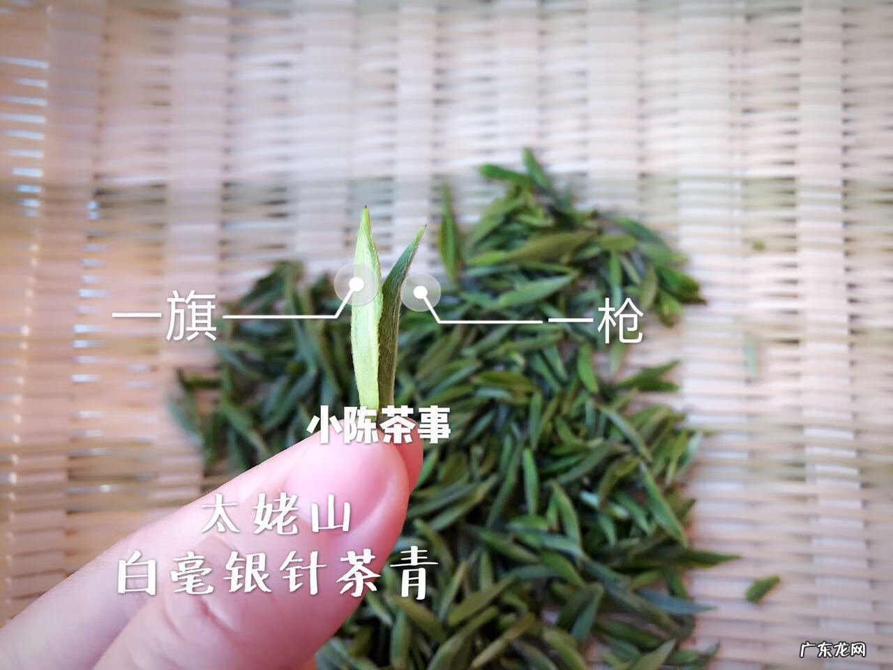 身上长白毛很长一根风水 身上长细细的白毛是什么原因