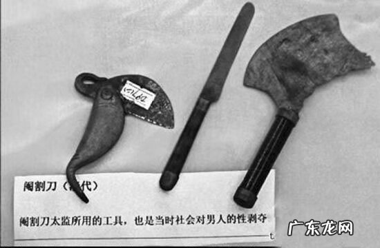 搞笑泥浆训练 搞笑泥浆去尿