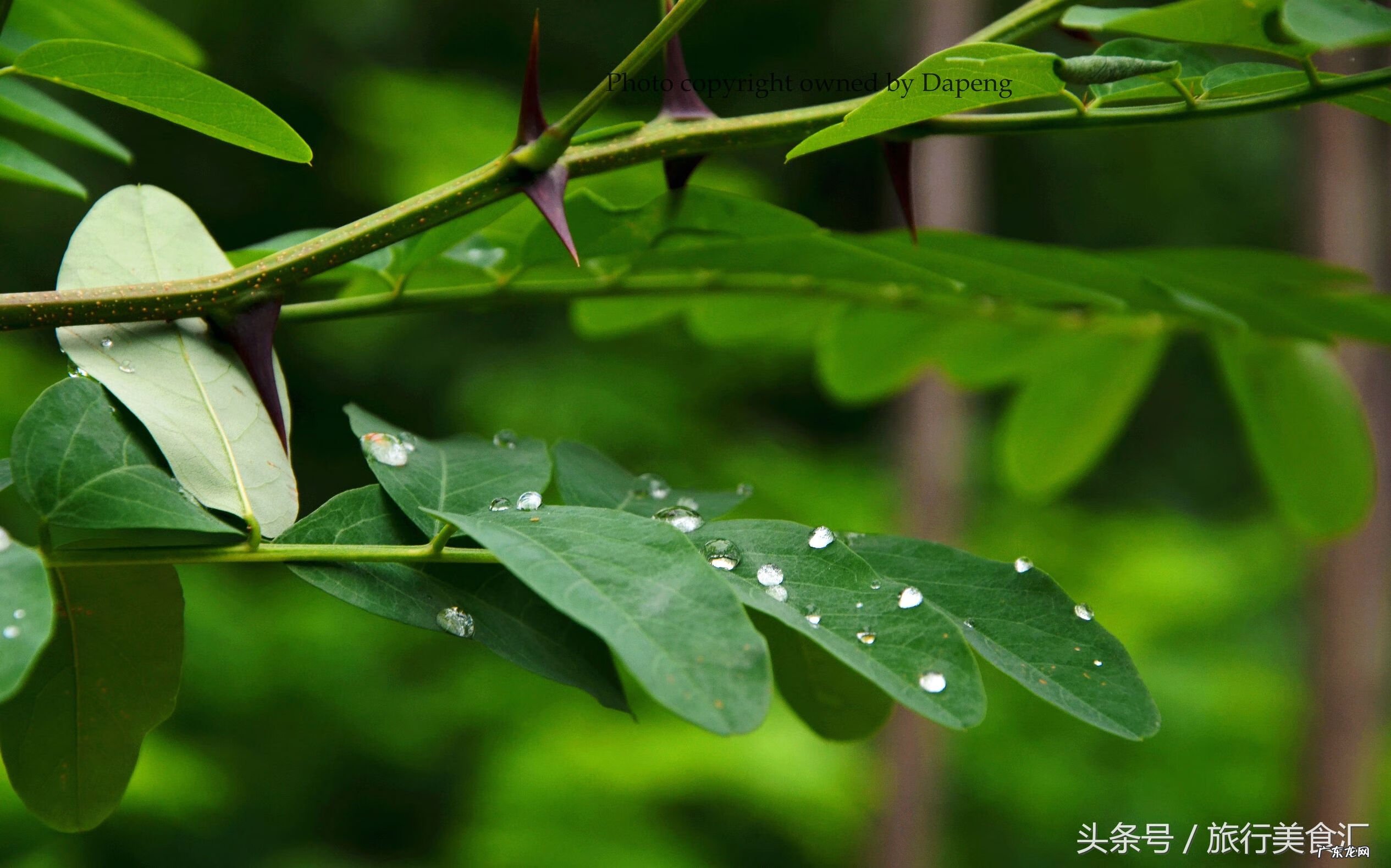 商洛属于秦岭吗 秦岭商洛风水