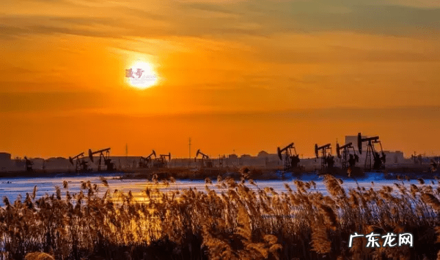 肇庆端州最好的楼盘 肇庆端州哪个楼盘最好风水