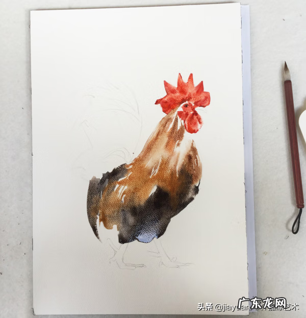 公鸡风水有什么讲究 家养公鸡风水