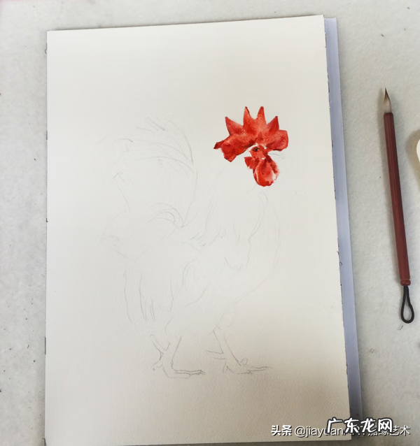 公鸡风水有什么讲究 家养公鸡风水