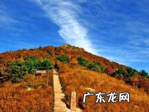 风水青龙 风水青龙起高峰