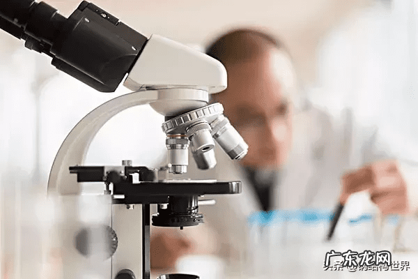 轻钢别墅房 轻钢别墅什么样子