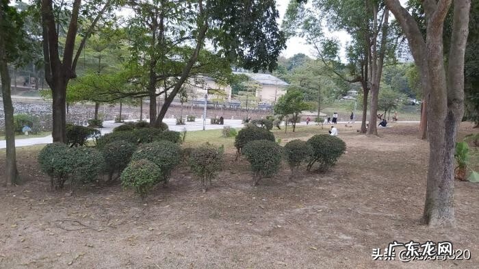 东莞厉害的风水师 东莞家居风水名师