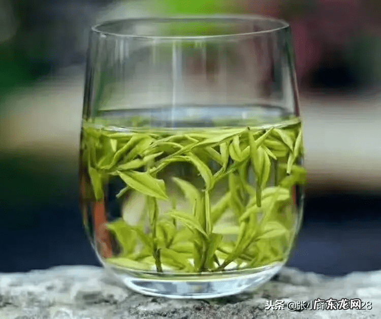 特朗普 为什么叫川普