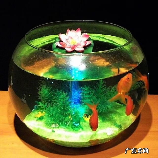 十大风水大师排名 怎样算风水好