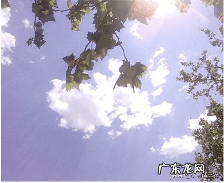 入伏从哪天算起到哪天结束 入伏从哪天算起2020