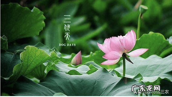 入伏从哪天算起到哪天结束 入伏从哪天算起2020