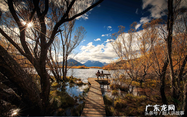 刺槐用来做地板风水 刺槐 风水