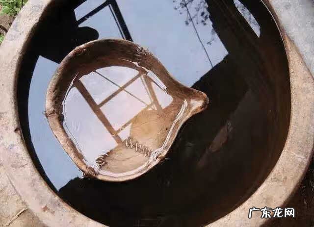 葫芦做成瓢要不要煮 干瓢是什么葫芦做的