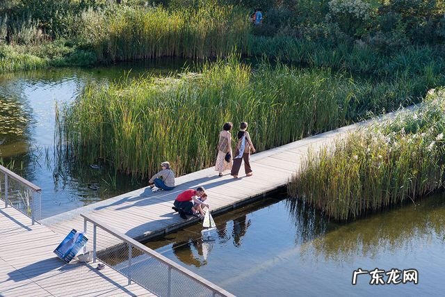 台州周易起名 台州周易阴阳风水