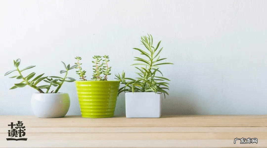房子外部环境风水 房屋外部风水
