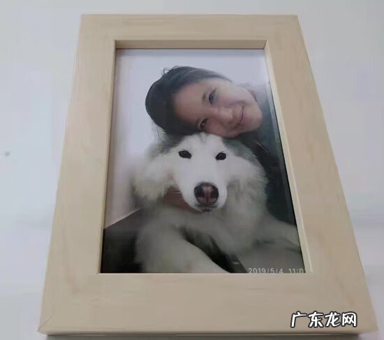 被鸟拉屎在手上会怎样 天上掉鸟屎在手上是什么征兆