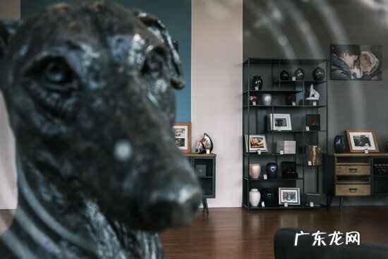 被鸟拉屎在手上会怎样 天上掉鸟屎在手上是什么征兆