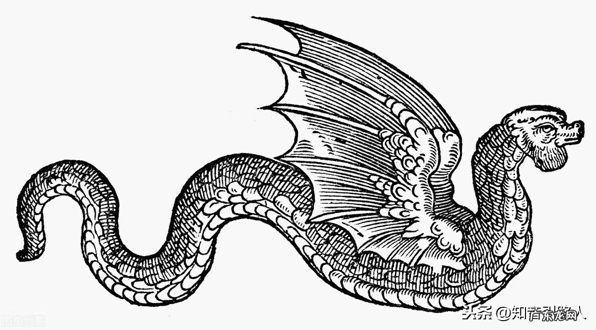 蟹地风水图片欣赏 风水蟹地出什么人才