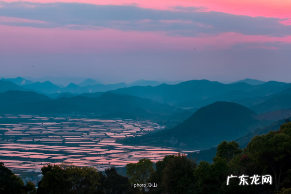 海带啥样的好 最好的海带是什么地方