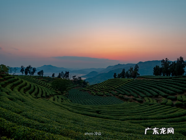 海带啥样的好 最好的海带是什么地方