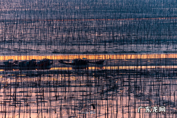 海带啥样的好 最好的海带是什么地方