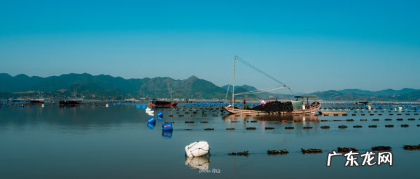 海带啥样的好 最好的海带是什么地方