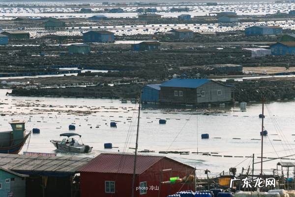 海带啥样的好 最好的海带是什么地方