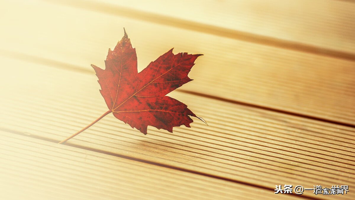 风水好的村庄 村子的风水