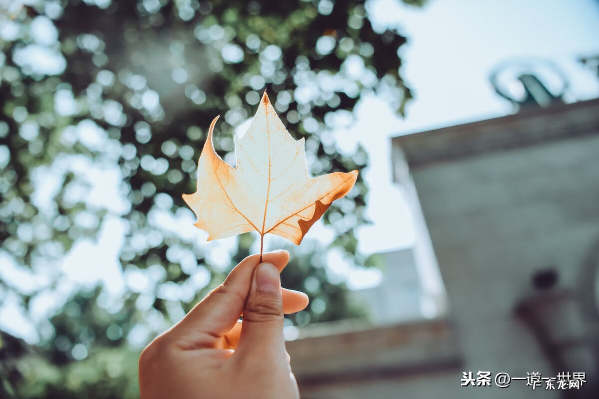 风水好的村庄 村子的风水