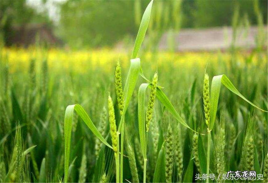 楼前有小河风水好不好 河边楼房的风水好吗