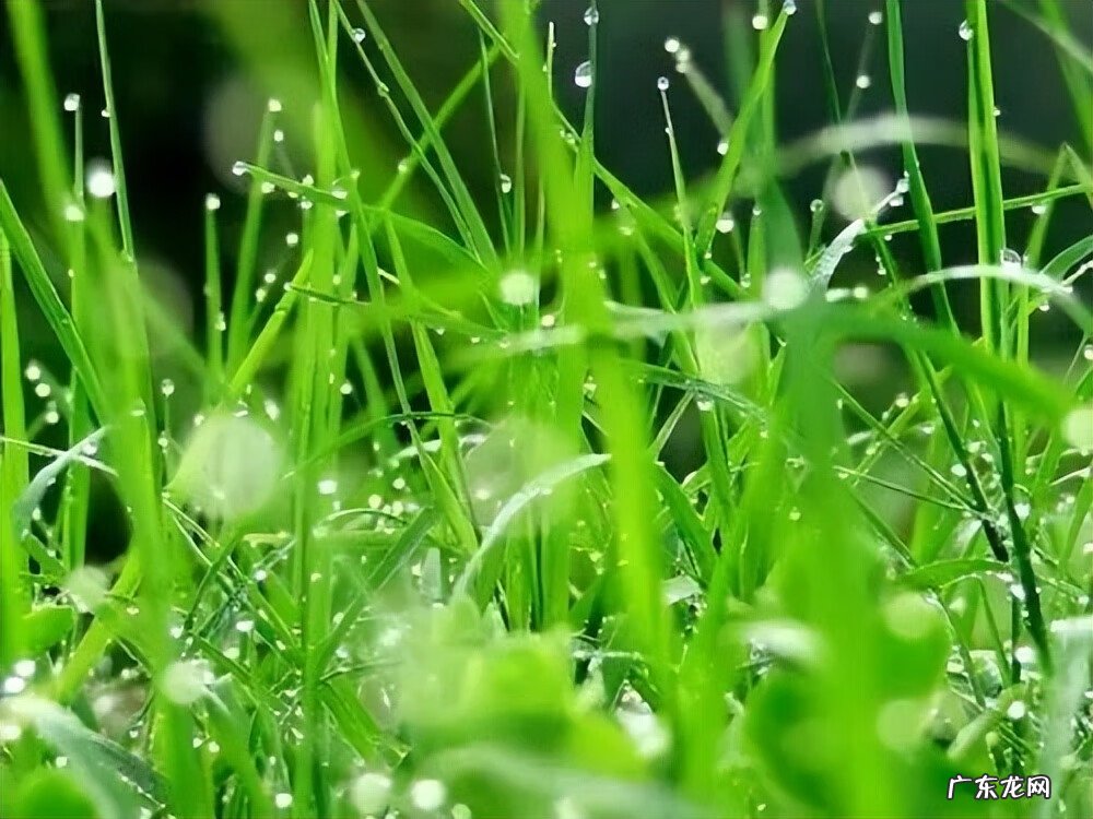 如何去掉脸上斑