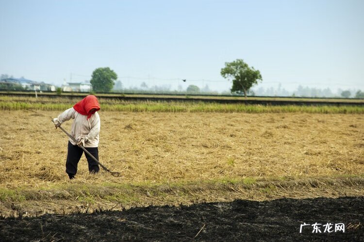 除了搞笑泥浆去尿还有什么 搞笑泥浆去尿怎么说