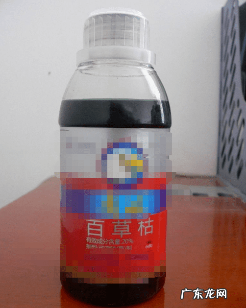 除了搞笑泥浆去尿还有什么 搞笑泥浆去尿怎么说