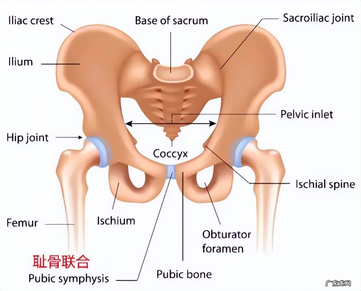 女性护阴胶囊 女性缩阴用品