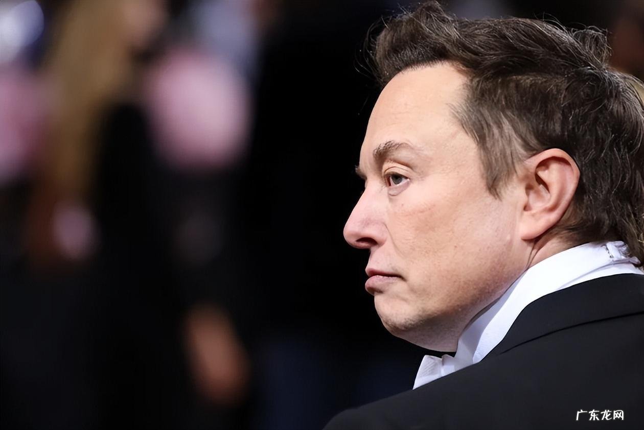 谁在替马斯克管理特斯拉?