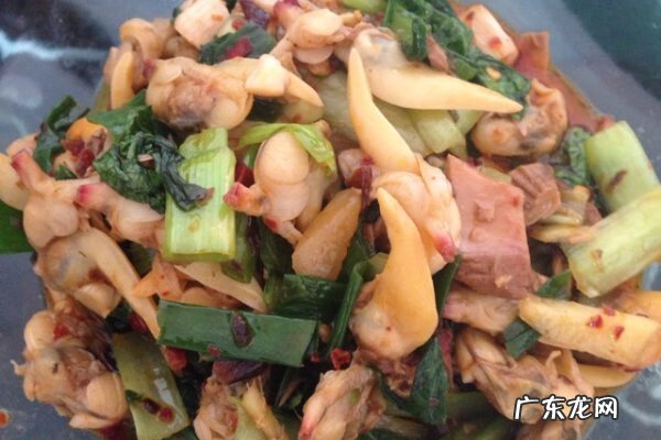 甲鱼炖什么补肾 甲鱼汤怎么炖补肾效果好吗?