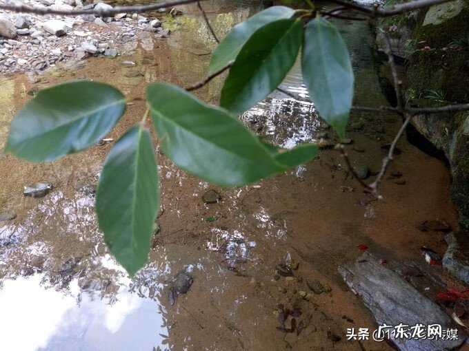 为什么绍兴是风水宝地 浙江长兴泗安是风水宝地吗