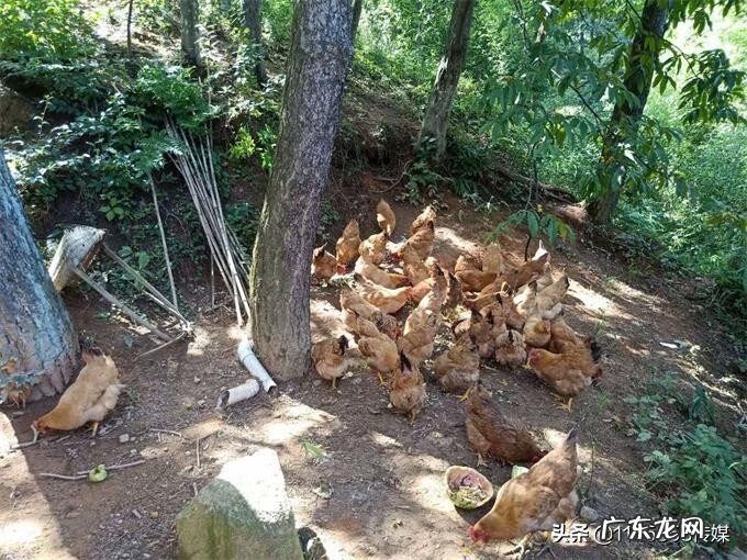 为什么绍兴是风水宝地 浙江长兴泗安是风水宝地吗