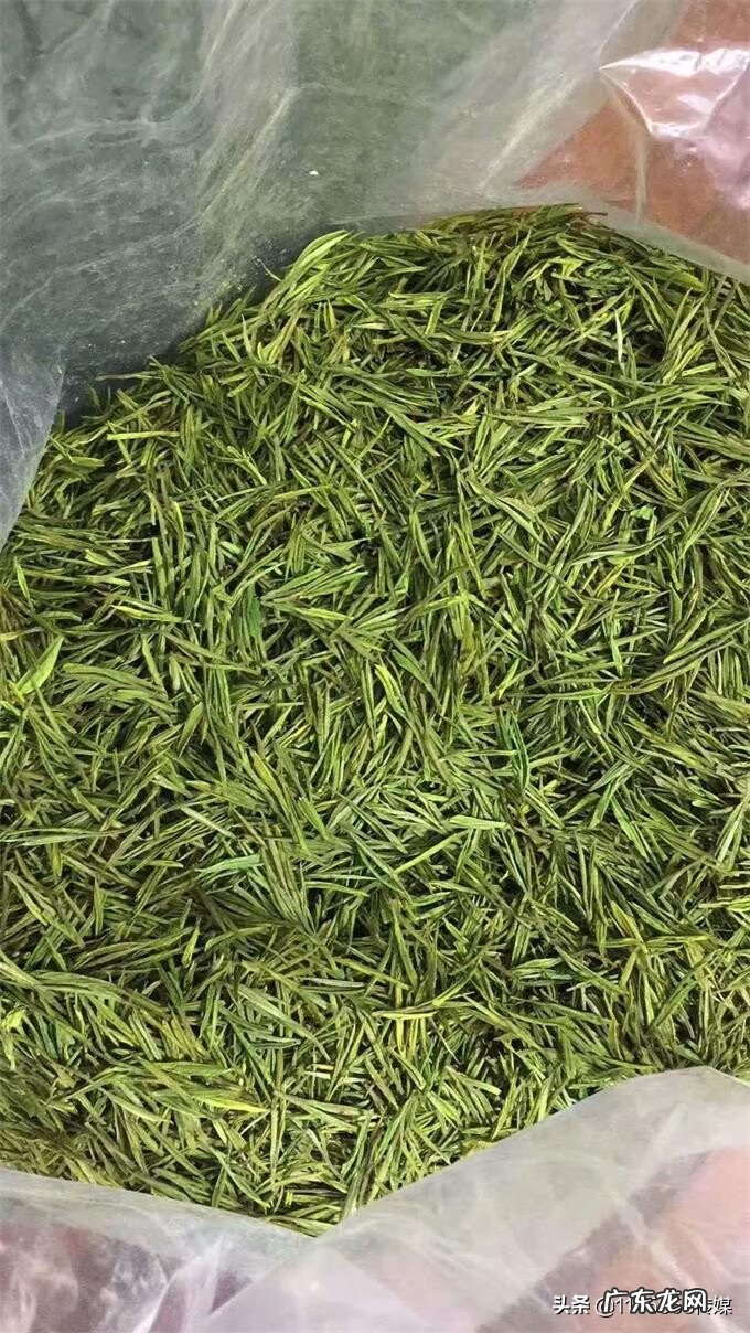 为什么绍兴是风水宝地 浙江长兴泗安是风水宝地吗