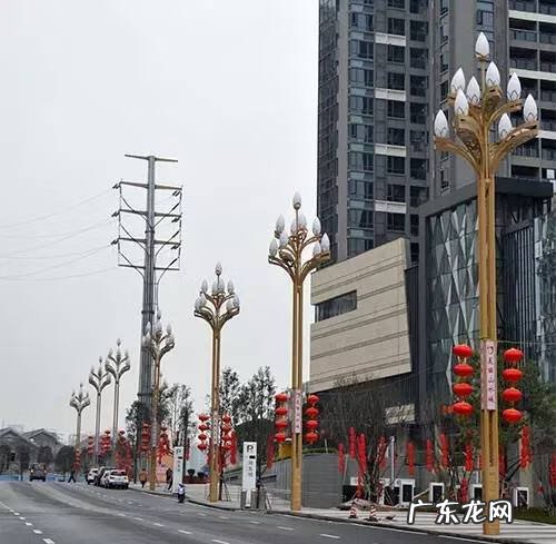 风水盘龙图 九龙坡 盘龙